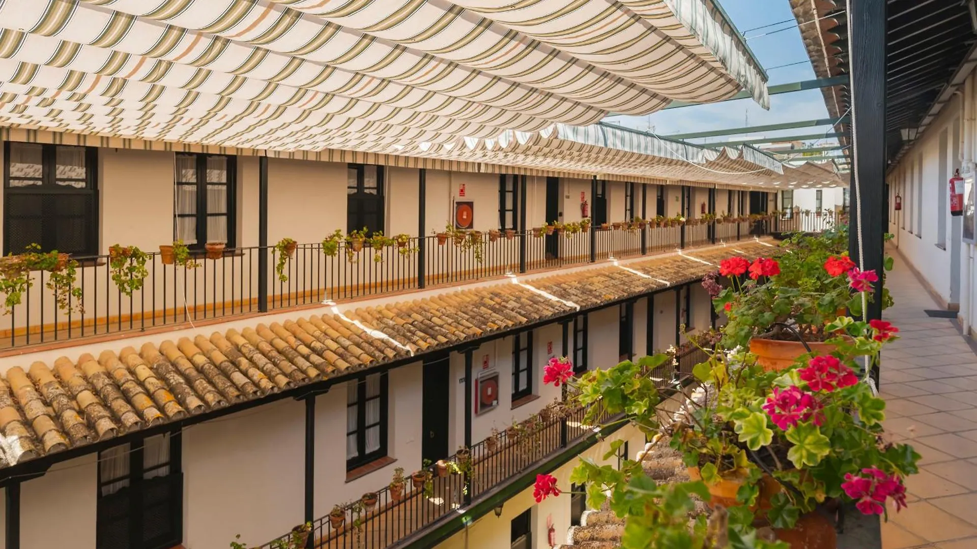 Avanti Cartuja Seville